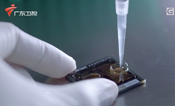 K8官网 - 天生赢家·一触即发