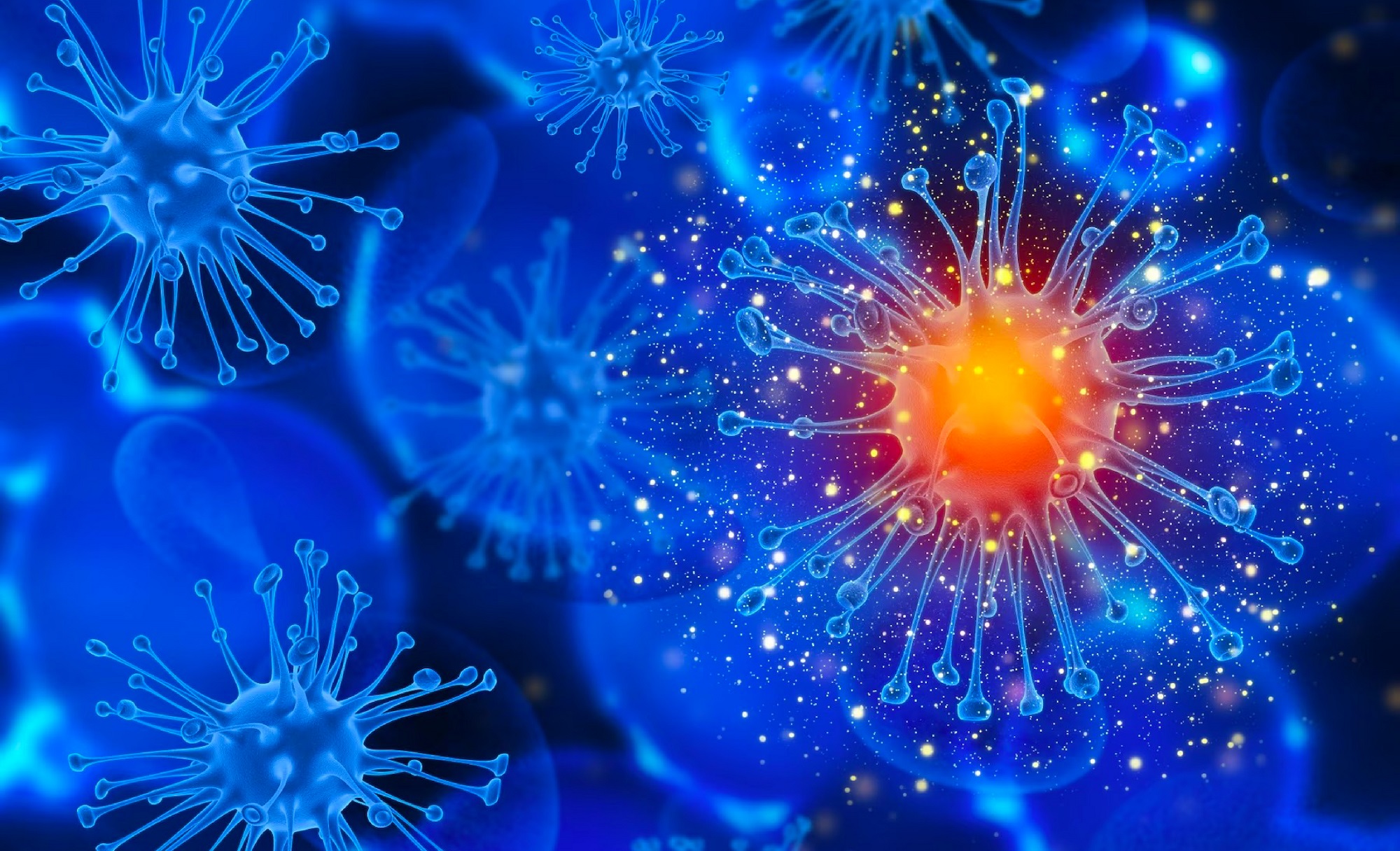 K8官网 - 天生赢家·一触即发