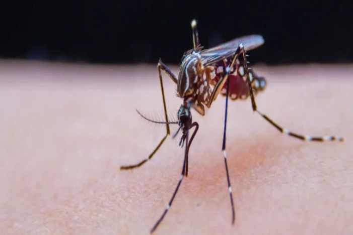 K8官网 - 天生赢家·一触即发